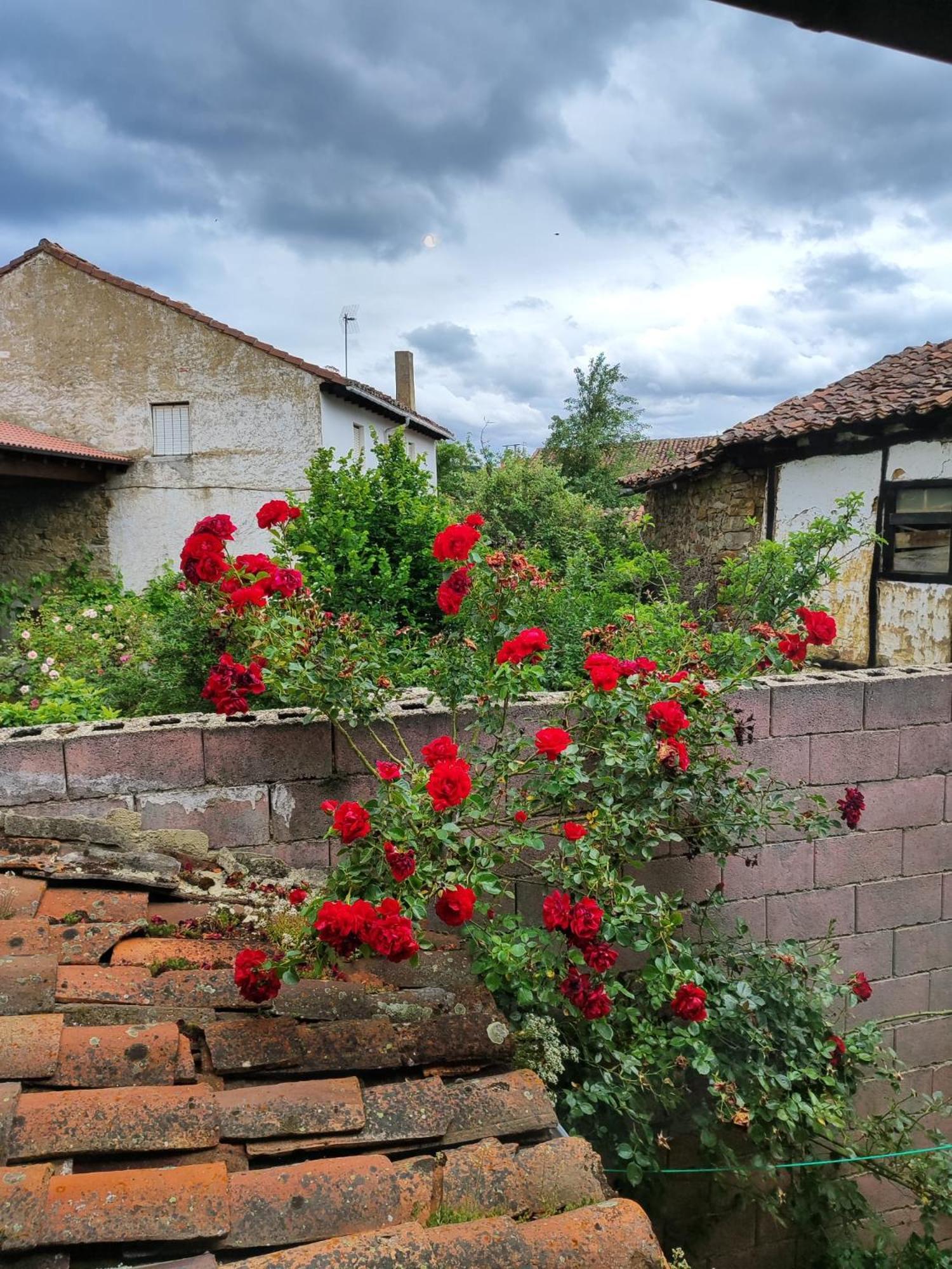 Pensjonat Casa Simon Cervera De Pisuerga Zewnętrze zdjęcie